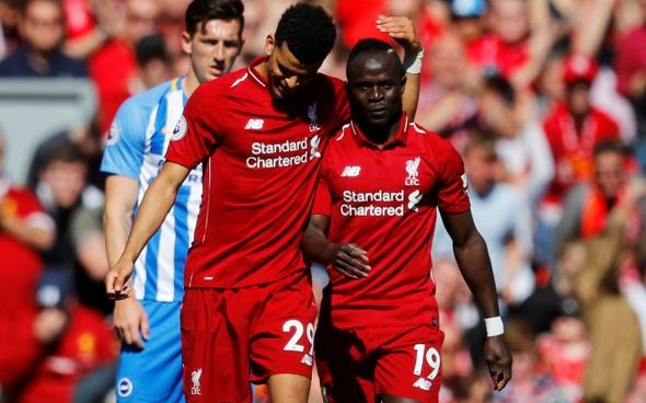 Image for It’s now or never for Solanke after raft of injuries
