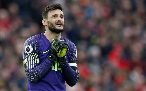 Image for Liverpool fans react to what Spurs star Lloris has said