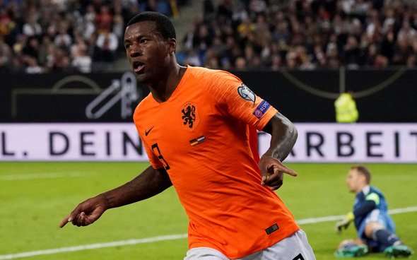Image for Wijnaldum pulled out of Holland training