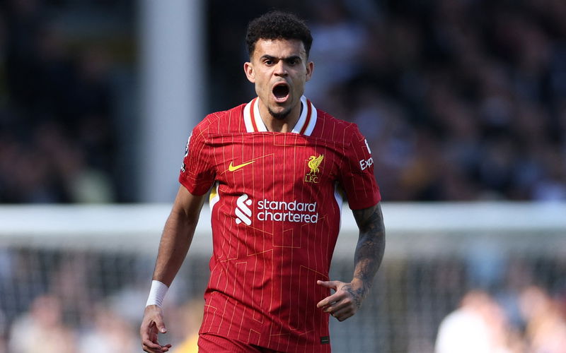 Image for Liverpool have rejected an approach for Luis Diaz this week