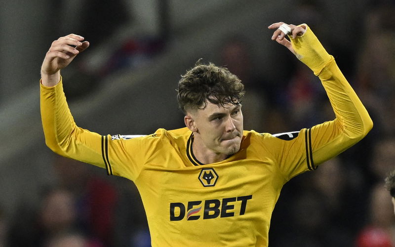 Image for Newcastle United pushing to sign Jorgen Strand Larsen to make room for Alexander Isak sale