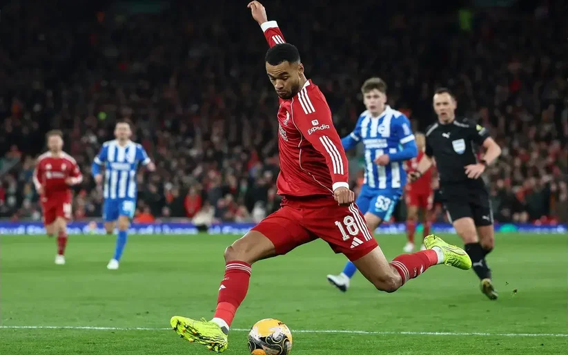 Image for “I’ve been talking…” – Expert reveals what he expects to happen to Cody Gakpo at Liverpool