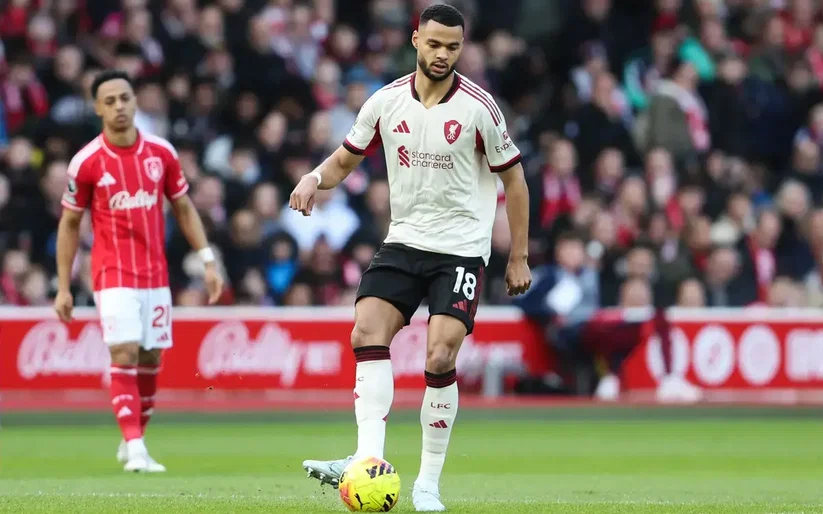 Image for “I would say…” – Fabrizio Romano has provided key update on Cody Gakpo leaving Liverpool